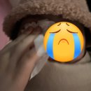 페리카나전대점 | 🐼에버랜드 판다월드🐼 회전초밥 과식후기(아러푸루후 다봄)