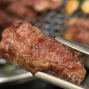 강남-206 이미지