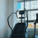 피트니아 이미지