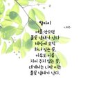 풀꽃향기 이미지