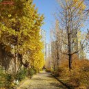 기동반-25 이미지