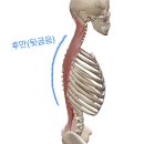 팔뚝갈비