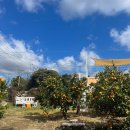 남원읍-96 이미지