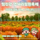 10월5일(토)임진강댑싸리공원[마감] 이미지