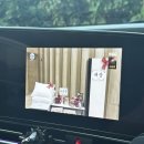 카페따라쥬 | 북한강카페 왈츠와닥터만, 100년 전통이 있는 커피에 진심인 이 곳 기념일 데이트 추천
