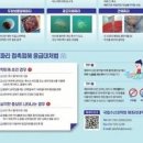 해파리 쏘임 응급처치 증상 쏘였을때 약 연고 침착 대처 예방법 이미지