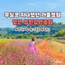 📌황토길 걷기좋은 영천강변공원 이미지