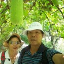 문화마을길-3 이미지