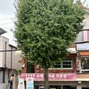 사림로-1 이미지