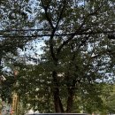 삼호동행정복지센터 화장실 이미지