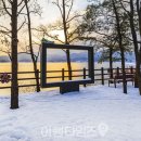 아도카정비 | "강아지랑 하얀 눈 밟으며 추억 쌓기 좋아요" 한겨울 반려동물과 함께 산책하기 좋은 호수 여행지