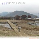 북부천변 이미지