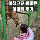 고요 | 가평 아이랑 가볼만한 곳 아침고요동물원 후기