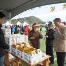 안성면 생활체육공원 이미지