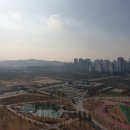 동탄역파라곤공인중개사사무소 이미지