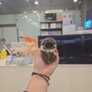 와우펫앤쥬 김해점 | 💖2026💖와우펫앤쥬 양산점. 올해 첫 게시글(★ ω ★)