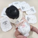 씨제이네이처 | 킨도 베베가드 네이처 아기 소변냄새 항균기저귀 추천