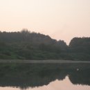 영한농장 Daum카페