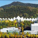 조선대학교 체육대학 이미지