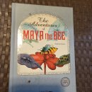 2010년 발간 영어판 닥터정의 "MAYA the BEE" 이미지