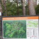 🌲 설악산 장수대 탐방로 &amp; 대승폭포 트레킹, 그리고 양양 생선구이 맛집 후기