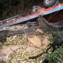 비바푸드트럭 이미지