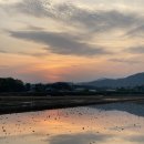 우리 담다