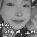 바라기 이미지