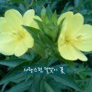 고운생활 이미지