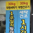 라인세탁소 이미지