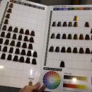 아띠랑스 헤어 이미지