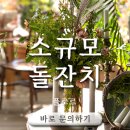대전 소규모 돌잔치 후기 가을햇살 플라워존, 생화돌상, 생화센터피스