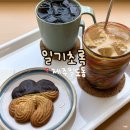 인제2공원 | 제주 인제 카페 일도동 드립 커피 맛집 일기초록 내돈내산