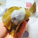 의령 망개떡 맛집 의령부자망개떡 본점 방문 후기+딸기망개떡,주차장