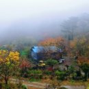 털보민박펜션 이미지