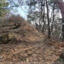 서봉산 산림욕장 2 이미지