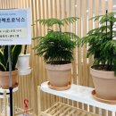 육일광학 이미지