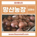 양파농장