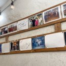 해변곰장어 이미지