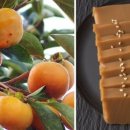 김밥과토스트 이미지