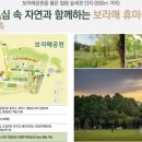 관악농협보라매하나로마트