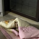 아거기노래연습장 이미지