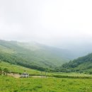 육백마지기 | 🌳여름피서, 청옥산 육백마지기 후기