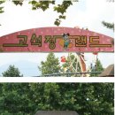 와수초등학교 | 이번주 런닝맨 보셧나요? 형님레이스가 펼쳐졋던 철원의 그장소들 소개합니다!