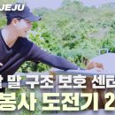 10.22[BAEK's]BAEK's JEJU|곶자왈 말 보호센터자원봉사하기2편| 홀스맨십 | BAEKHO(KANG DONG HO) 이미지