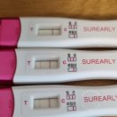 수정-4 | 인공수정 4차 성공 후기