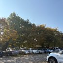 통일로1267번길 | [고양] 고양 은행보기 좋은 핫플 [옐로커피] 내돈내산 후기 (은행 근황)