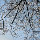 서울라헬여성의원 | 내가 다녔던 서울난임병원 솔직한 후기(공덕 라헬여성의원)