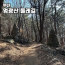 엄광산임도 | 부산 엄광산 둘레길 트레킹 도심 속 걷기 좋은 편백숲길