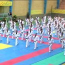 최강국가대표태권도 이미지